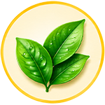 Gentle & Safe Ingredients