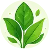 Plant-Based Fibers